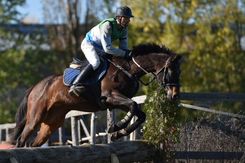 A Local’s Guide to Chester Race Days: How to Get There and Home Safely