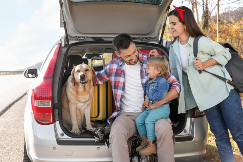 Travelling with Pets, Kids or Luggage: How to Book a Taxi that Suits Your Needs