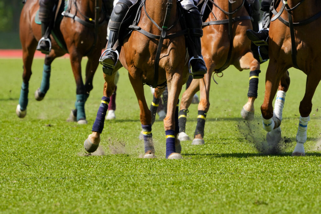 Understanding Chester Race Days in 2026